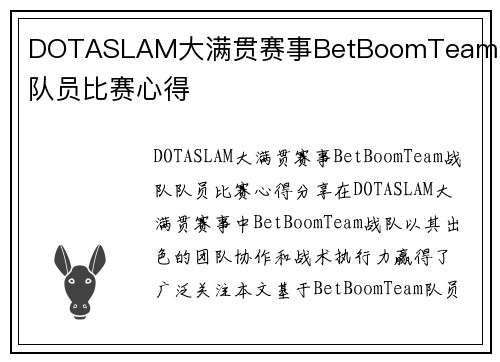 DOTASLAM大满贯赛事BetBoomTeam战队队员比赛心得